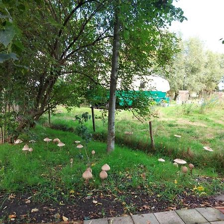 Bij Grenspaal 243 Essen Екстериор снимка
